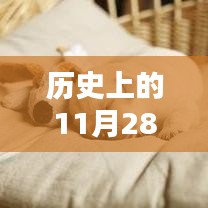 11月28日揭秘，碎片化睡眠危害与熬夜等同，智能睡眠科技重塑生活品质新篇章