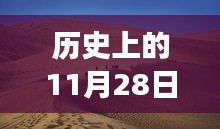 塔克拉玛干沙漠机器人种植奇迹，科技改变沙漠农业的未来