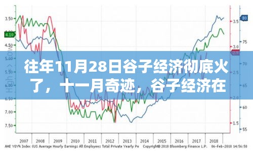 十一月奇迹，谷子经济在11月28日的全面繁荣与深远影响