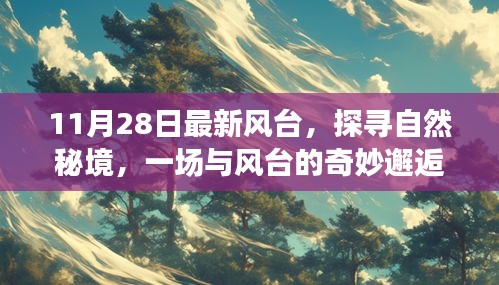 11月28日风台最新动态，探寻自然秘境的奇妙之旅