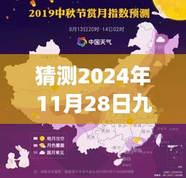 揭秘预测版，2024年11月28日九色鹿攻略探索之旅（最新预测版）