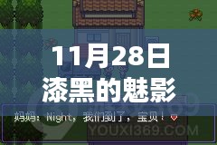 11月28日漆黑魅影一周目攻略，深度解析与全面介绍