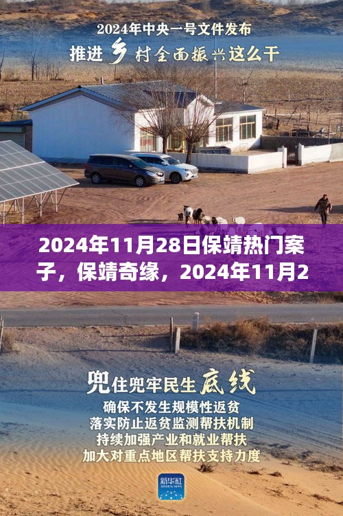 揭秘保靖奇缘，2024年11月28日热门案件之旅