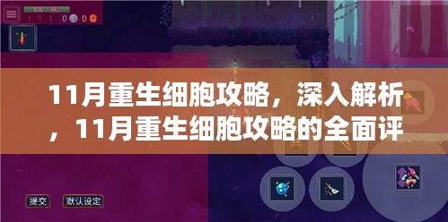 全面评测与介绍，11月重生细胞攻略深度解析