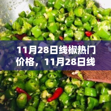 11月28日线椒热门价格详解与全面评测