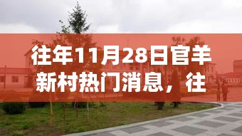 往年11月28日官羊新村热门消息深度解析，产品特性、用户体验与目标用户剖析