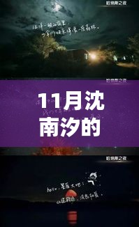 沈南汐十一月璀璨创作，热门作品一览