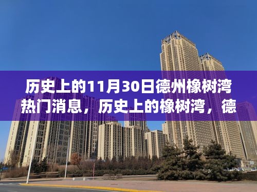 德州橡树湾的成长之路，励志篇章与变化的力量之历史回顾（11月30日热门消息）