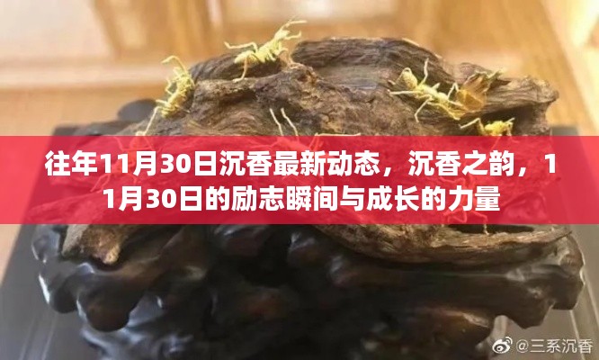 沉香成长力量，励志瞬间与最新动态回顾