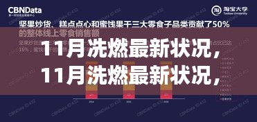 深度解读与前瞻性预测，冼燃与洗燃最新状况分析（11月版）