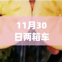 11月30日两箱车特惠来袭，抢购正当时！