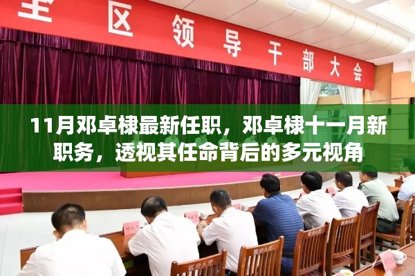 邓卓棣最新职务揭晓，十一月任命背后的多元视角分析