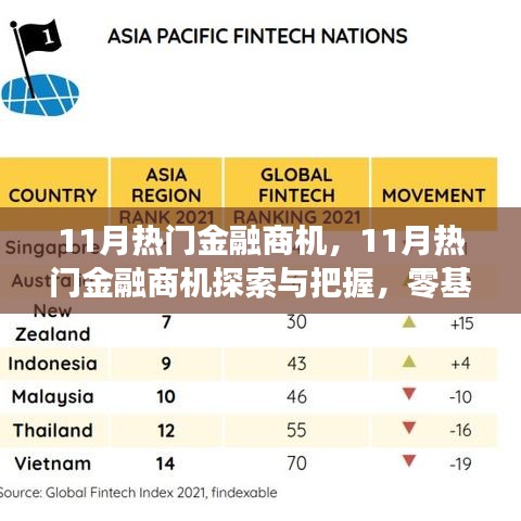 11月金融商机探索与把握，零基础实战指南