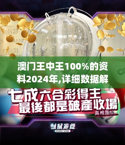 澳门王中王100%的资料2024年,详细数据解读_车载版YUX29.578