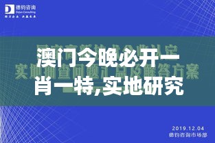 澳门今晚必开一肖一特,实地研究解答协助_TMX80.476护眼版