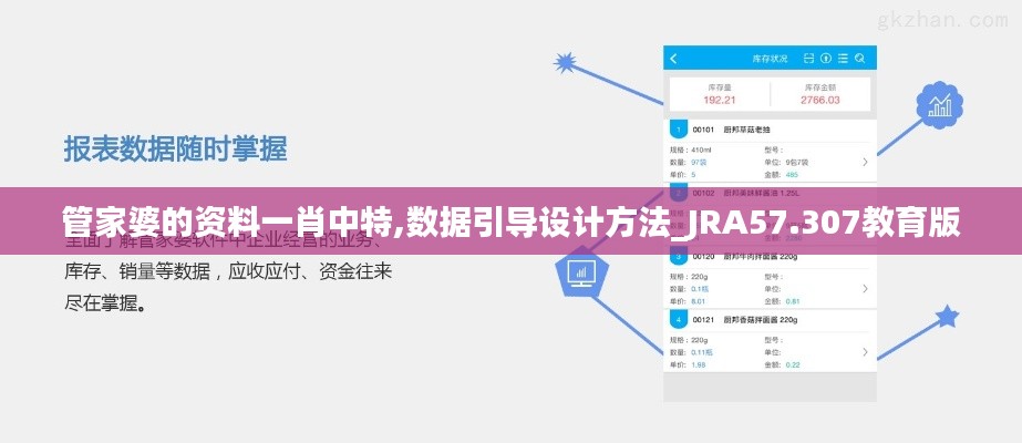 管家婆的资料一肖中特,数据引导设计方法_JRA57.307教育版