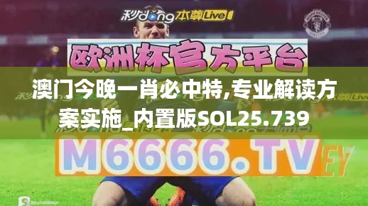 澳门今晚一肖必中特,专业解读方案实施_内置版SOL25.739