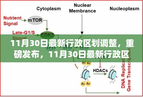 重磅发布！最新行政区划调整智能导航系统革新之旅揭秘