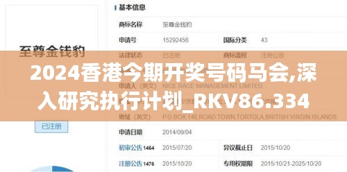 2024香港今期开奖号码马会,深入研究执行计划_RKV86.334原创性版