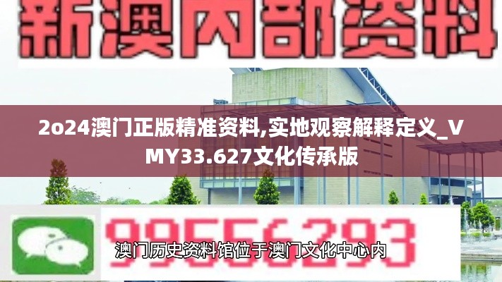 2o24澳门正版精准资料,实地观察解释定义_VMY33.627文化传承版