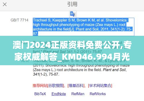 澳门2024正版资料免费公开,专家权威解答_KMD46.994月光版