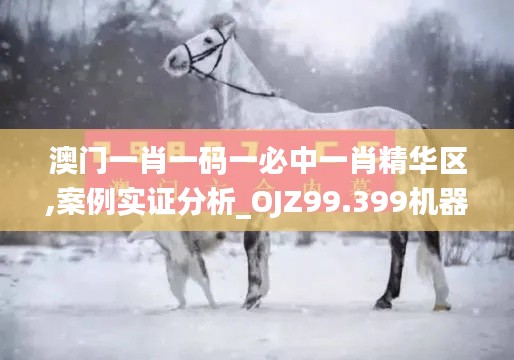 澳门一肖一码一必中一肖精华区,案例实证分析_OJZ99.399机器版