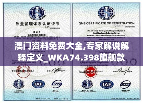 澳门资料免费大全,专家解说解释定义_WKA74.398旗舰款