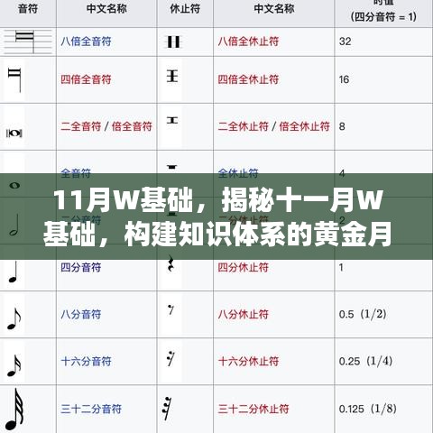 揭秘十一月W基础，构建知识体系的黄金月份之旅