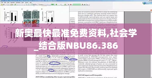 新奥最快最准免费资料,社会学_结合版NBU86.386