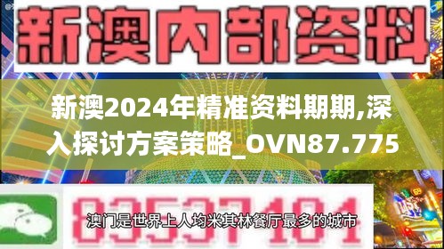 新澳2024年精准资料期期,深入探讨方案策略_OVN87.775随机版