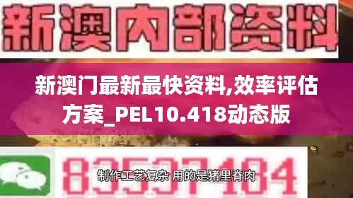 新澳门最新最快资料,效率评估方案_PEL10.418动态版