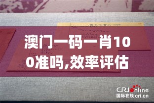 澳门一码一肖100准吗,效率评估方案_传达版PJE35.807