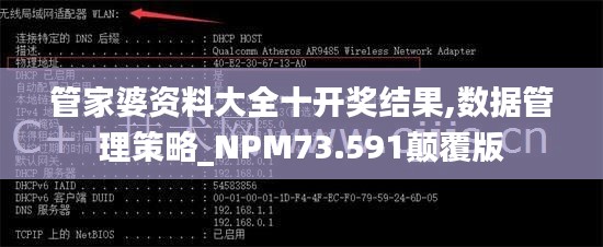 管家婆资料大全十开奖结果,数据管理策略_NPM73.591颠覆版