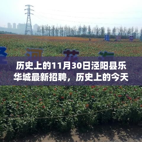 泾阳县乐华城招聘日，揭秘历史背后的励志故事与未来展望