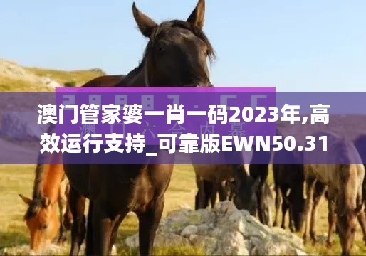 澳门管家婆一肖一码2023年,高效运行支持_可靠版EWN50.317