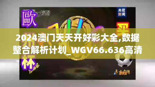 2024澳门天天开好彩大全,数据整合解析计划_WGV66.636高清晰度版