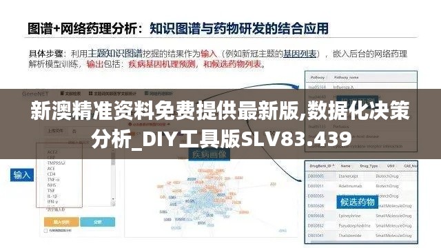 新澳精准资料免费提供最新版,数据化决策分析_DIY工具版SLV83.439