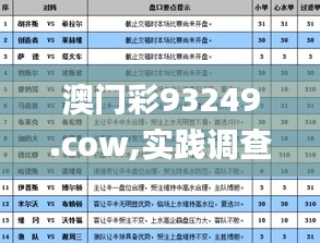 澳门彩93249.cow,实践调查说明_TVA45.900体验版