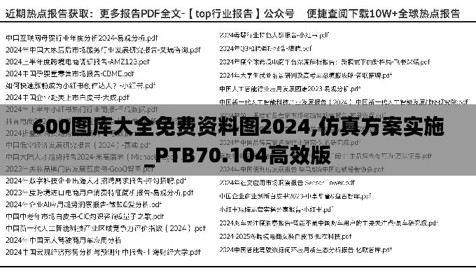 600图库大全免费资料图2024,仿真方案实施_PTB70.104高效版