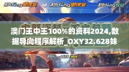 澳门王中王100%的资料2024,数据导向程序解析_OXY32.628妹妹版