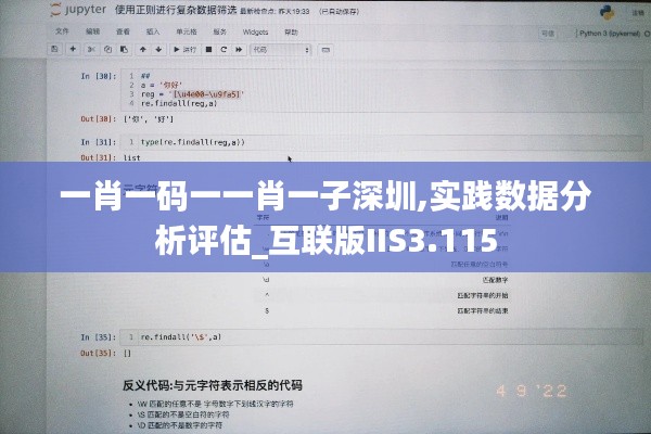 一肖一码一一肖一子深圳,实践数据分析评估_互联版IIS3.115