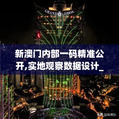 新澳门内部一码精准公开,实地观察数据设计_专属版XCS64.208