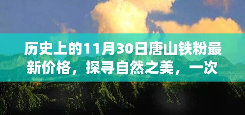 探寻自然之美，唐山铁粉价格历史与最新行情回顾的宁静之旅