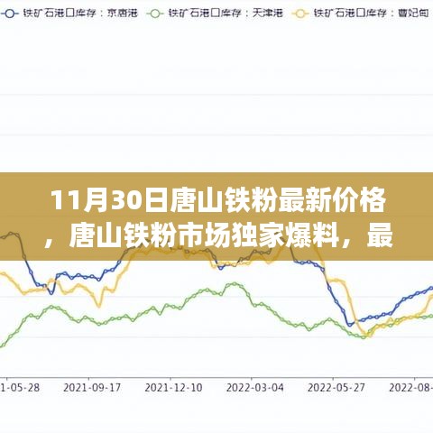 11月30日唐山铁粉市场独家爆料，最新价格动态与行情解析