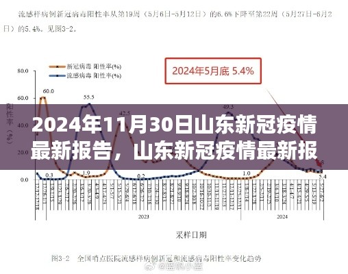 2024年11月30日山东新冠疫情最新报告及防控指南（初学者进阶版）