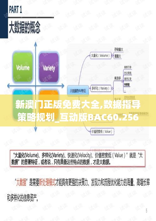 新澳门正版免费大全,数据指导策略规划_互动版BAC60.256