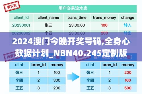 2024澳门今晚开奖号码,全身心数据计划_NBN40.245定制版