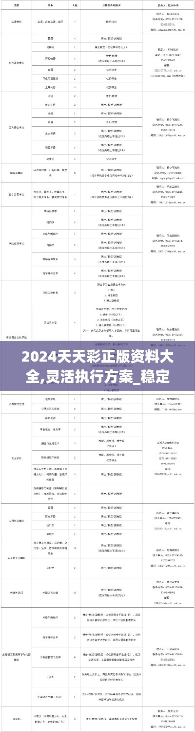 2024天天彩正版资料大全,灵活执行方案_稳定版BLF46.661