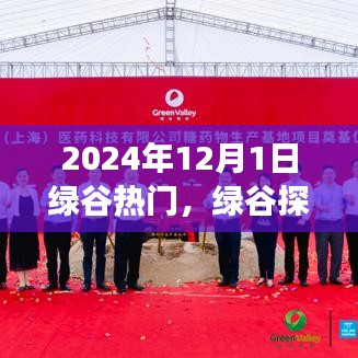 追寻内心平静的奇妙之旅，绿谷探秘，启程2024