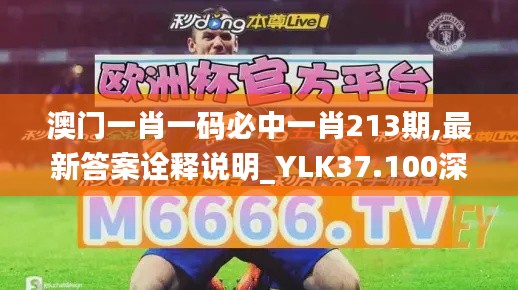 澳门一肖一码必中一肖213期,最新答案诠释说明_YLK37.100深度版